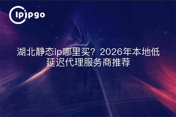 湖北静态ip哪里买？2026年本地低延迟代理服务商推荐