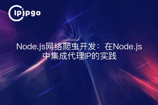 Node.js网络爬虫开发：在Node.js中集成代理IP的实践