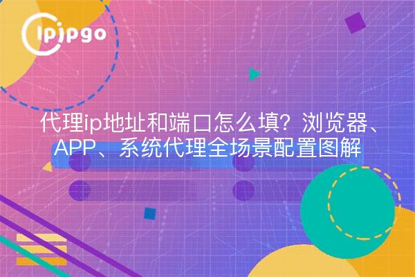 代理ip地址和端口怎么填？浏览器、APP、系统代理全场景配置图解