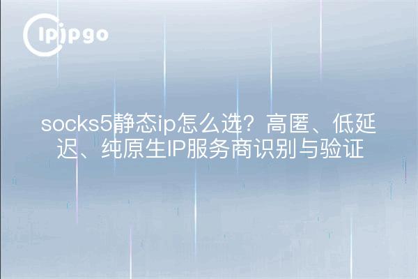 socks5静态ip怎么选？高匿、低延迟、纯原生IP服务商识别与验证