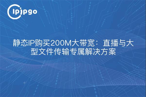 静态IP购买200M大带宽：直播与大型文件传输专属解决方案