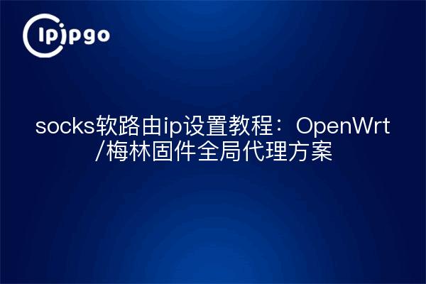 socks软路由ip设置教程：OpenWrt/梅林固件全局代理方案