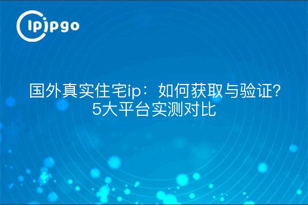 国外真实住宅ip：如何获取与验证？5大平台实测对比