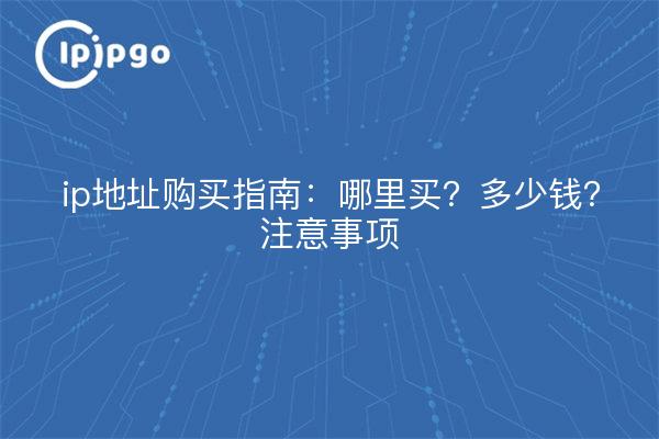 ip地址购买指南：哪里买？多少钱？注意事项