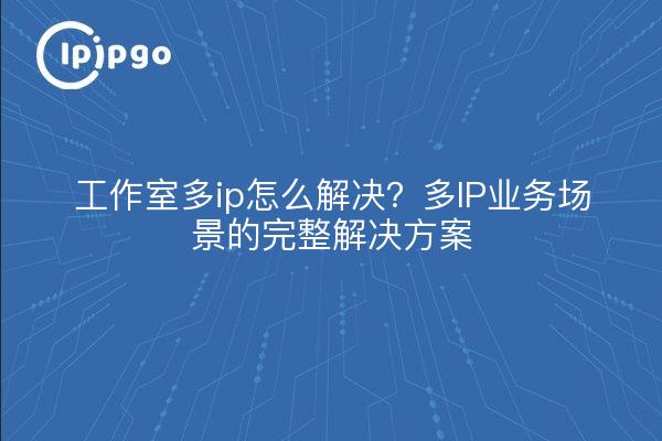工作室多ip怎么解决？多IP业务场景的完整解决方案