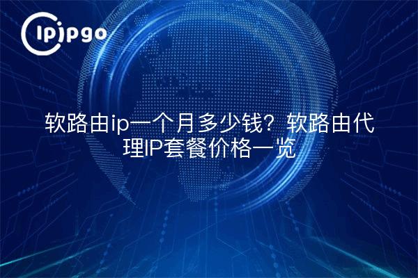 软路由ip一个月多少钱？软路由代理IP套餐价格一览