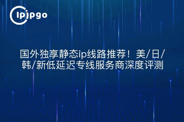 国外独享静态ip线路推荐！美/日/韩/新低延迟专线服务商深度评测