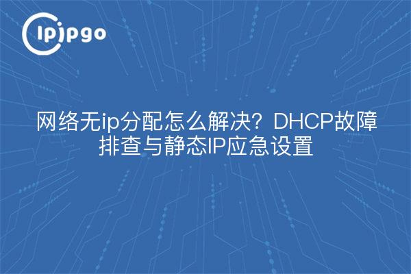 网络无ip分配怎么解决？DHCP故障排查与静态IP应急设置