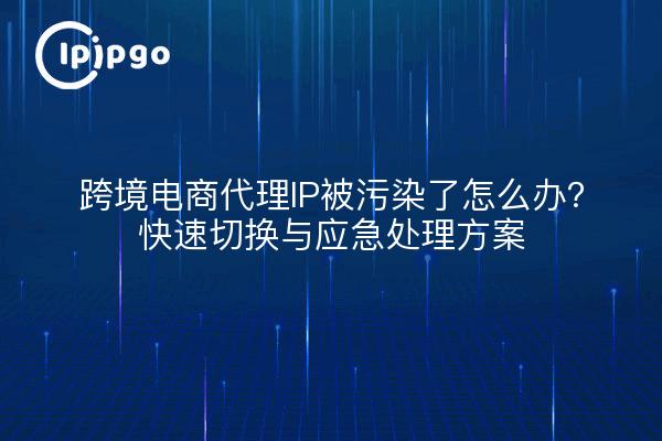 跨境电商代理IP被污染了怎么办?快速切换与应急处理方案