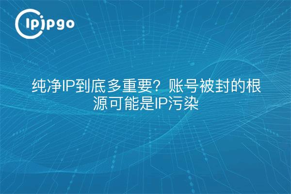 纯净IP到底多重要?账号被封的根源可能是IP污染