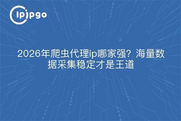 2026年爬虫代理ip哪家强?海量数据采集稳定才是王道