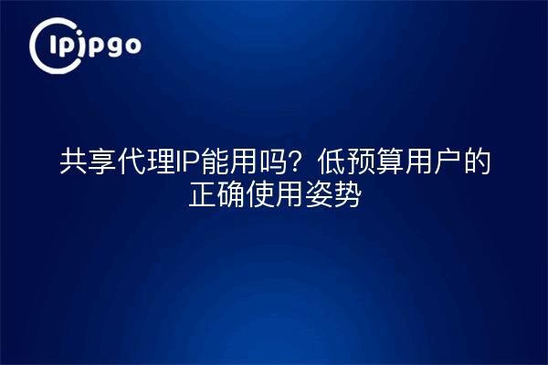 共享代理IP能用吗？低预算用户的正确使用姿势