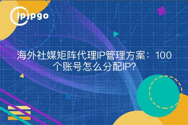 海外社媒矩阵代理IP管理方案：100个账号怎么分配IP？