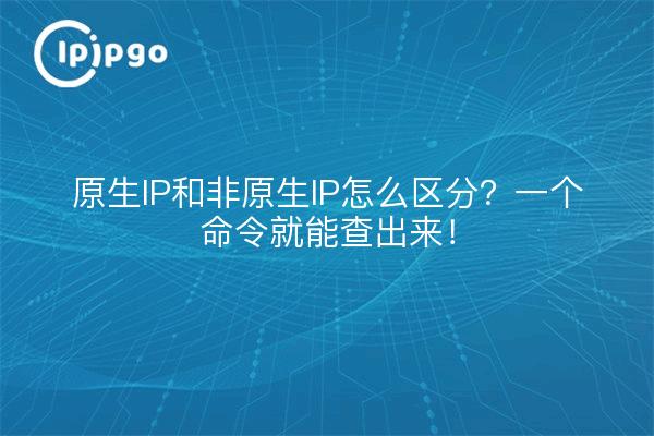 原生IP和非原生IP怎么区分？一个命令就能查出来！