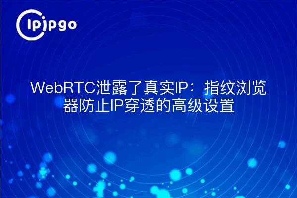 WebRTC泄露了真实IP：指纹浏览器防止IP穿透的高级设置