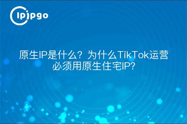 原生IP是什么?为什么TikTok运营必须用原生住宅IP?