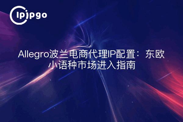 Allegro波兰电商代理IP配置：东欧小语种市场进入指南