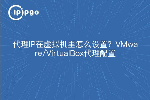 代理IP在虚拟机里怎么设置?VMware/VirtualBox代理配置
