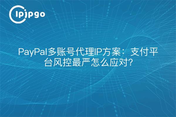 PayPal多账号代理IP方案：支付平台风控最严怎么应对？