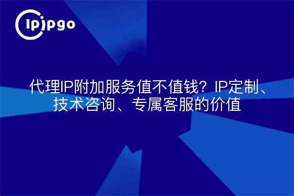 代理IP附加服务值不值钱？IP定制、技术咨询、专属客服的价值