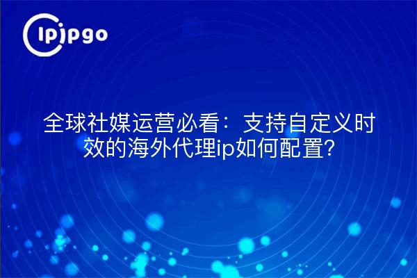 全球社媒运营必看:支持自定义时效的海外代理ip如何配置?