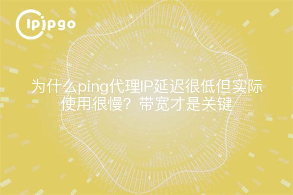 为什么ping代理IP延迟很低但实际使用很慢？带宽才是关键