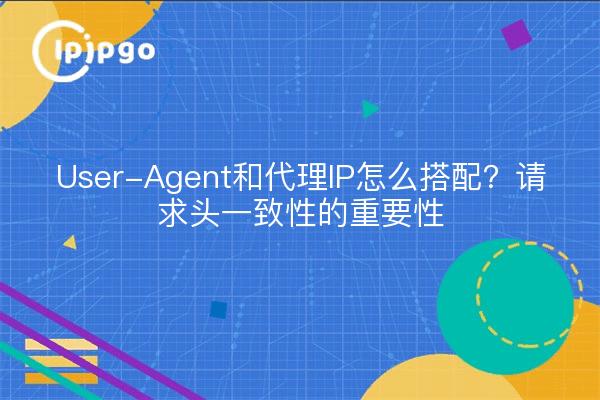 User-Agent和代理IP怎么搭配？请求头一致性的重要性