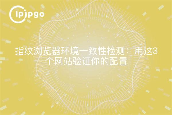 指纹浏览器环境一致性检测：用这3个网站验证你的配置