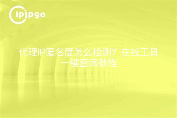代理IP匿名度怎么检测？在线工具一键查询教程