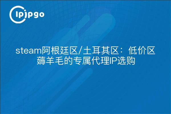 steam阿根廷区/土耳其区：低价区薅羊毛的专属代理IP选购
