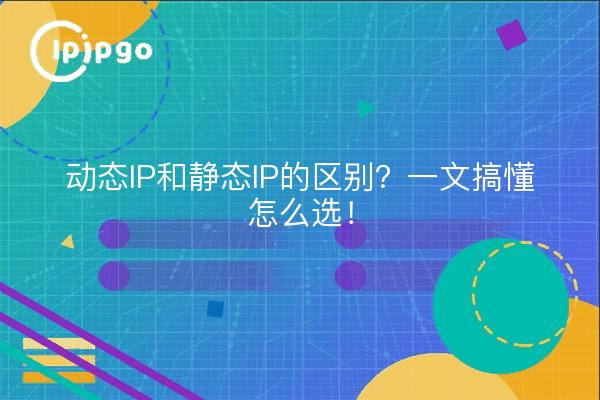 动态IP和静态IP的区别?一文搞懂怎么选!
