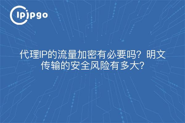 代理IP的流量加密有必要吗？明文传输的安全风险有多大？
