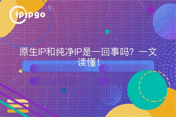 原生IP和纯净IP是一回事吗？一文读懂！