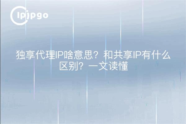 独享代理IP啥意思？和共享IP有什么区别？一文读懂