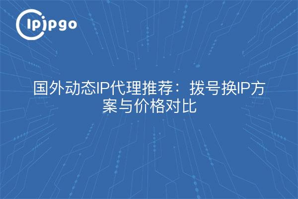 国外动态IP代理推荐:拨号换IP方案与价格对比