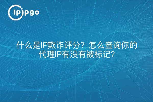 什么是IP欺诈评分？怎么查询你的代理IP有没有被标记？