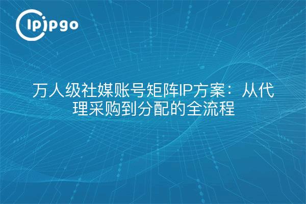 万人级社媒账号矩阵IP方案：从代理采购到分配的全流程