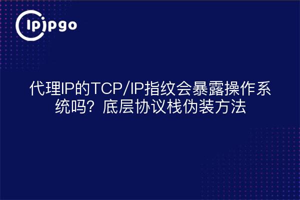 代理IP的TCP/IP指纹会暴露操作系统吗？底层协议栈伪装方法