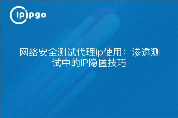 网络安全测试代理ip使用:渗透测试中的IP隐匿技巧