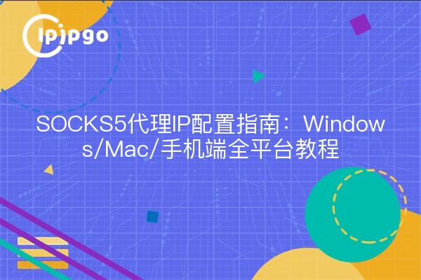 SOCKS5代理IP配置指南：Windows/Mac/手机端全平台教程