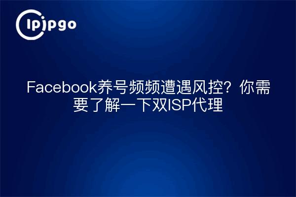 Facebook养号频频遭遇风控？你需要了解一下双ISP代理