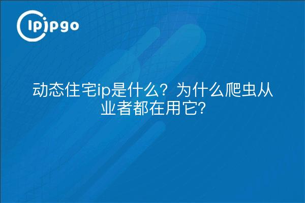 动态住宅ip是什么？为什么爬虫从业者都在用它？