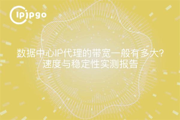 数据中心IP代理的带宽一般有多大？速度与稳定性实测报告