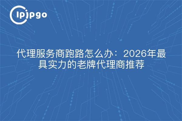代理服务商跑路怎么办：2026年最具实力的老牌代理商推荐