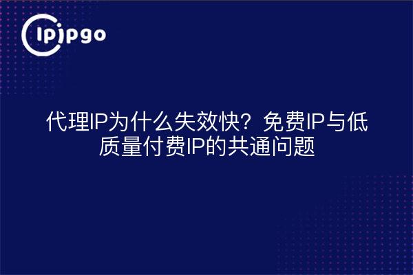代理IP为什么失效快?免费IP与低质量付费IP的共通问题