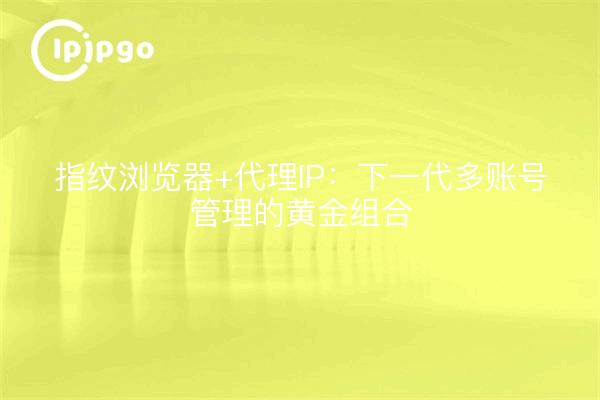 指纹浏览器+代理IP：下一代多账号管理的黄金组合