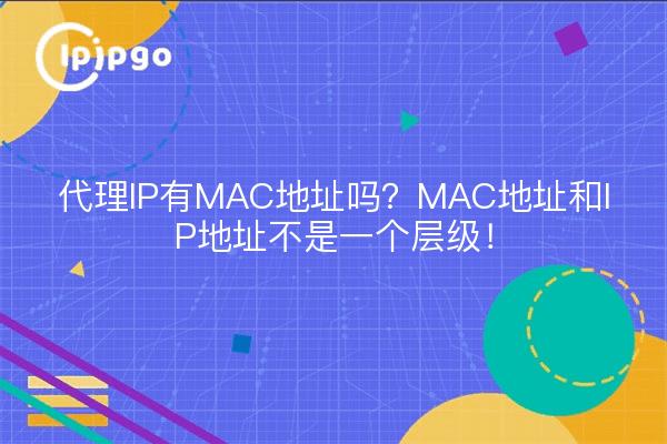 代理IP有MAC地址吗？MAC地址和IP地址不是一个层级！