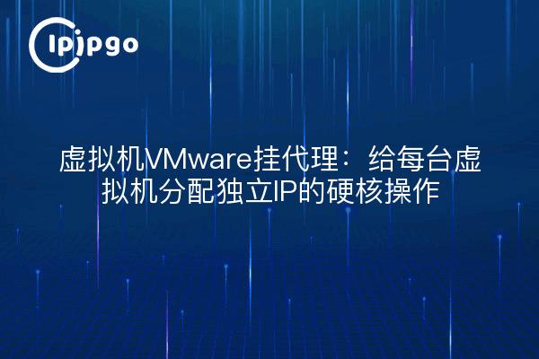 虚拟机VMware挂代理：给每台虚拟机分配独立IP的硬核操作