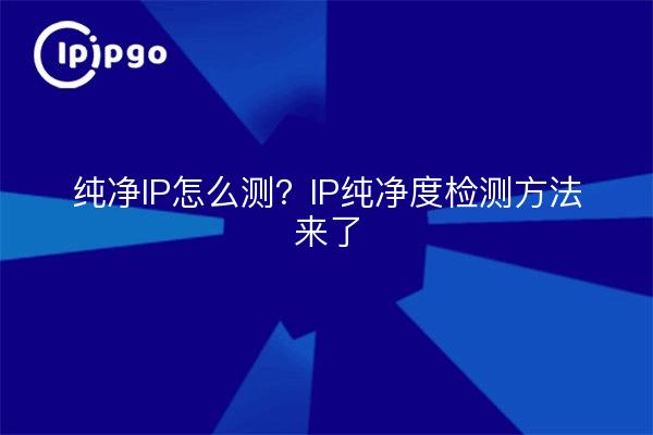 纯净IP怎么测？IP纯净度检测方法来了