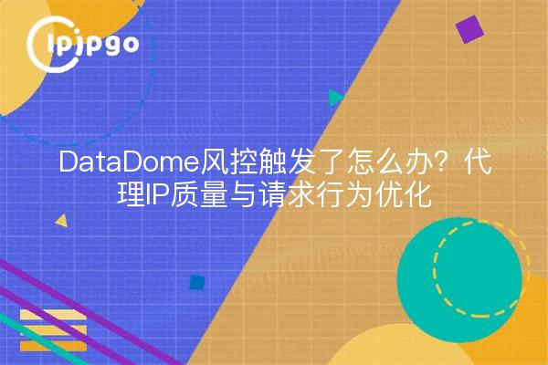 DataDome风控触发了怎么办？代理IP质量与请求行为优化